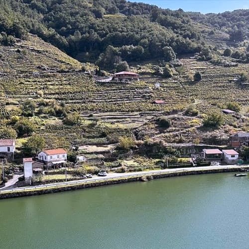 Enoturismo en Ribeira Sacra