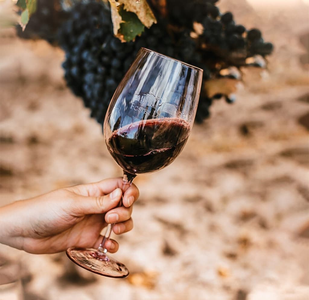 Turismo enológico en Ribeira Sacra