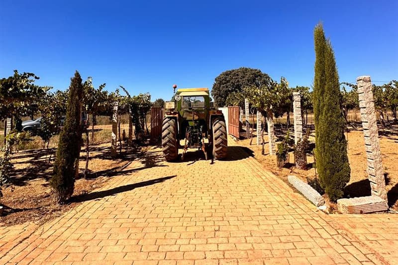 Bodega Mauricio Lorca - Galicia