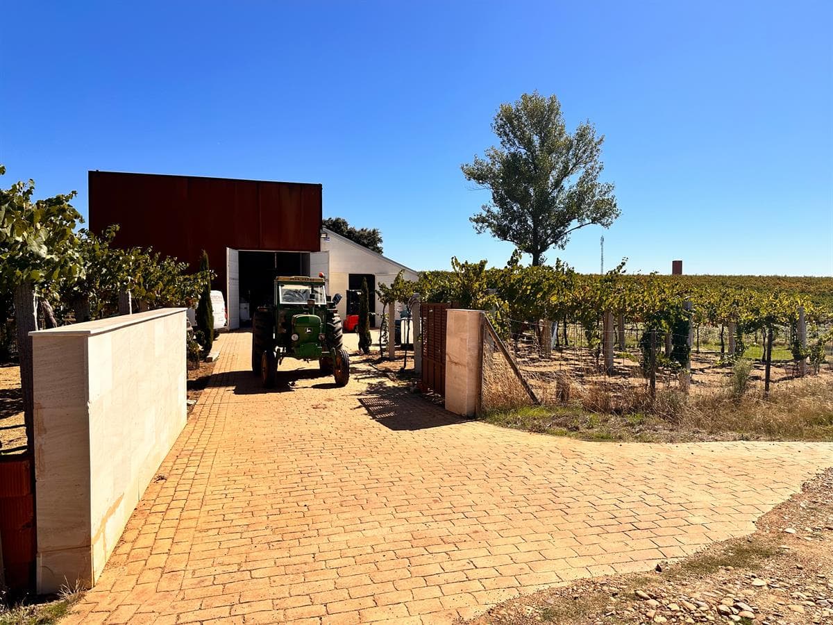 Bodega Mauricio Lorca - Galicia