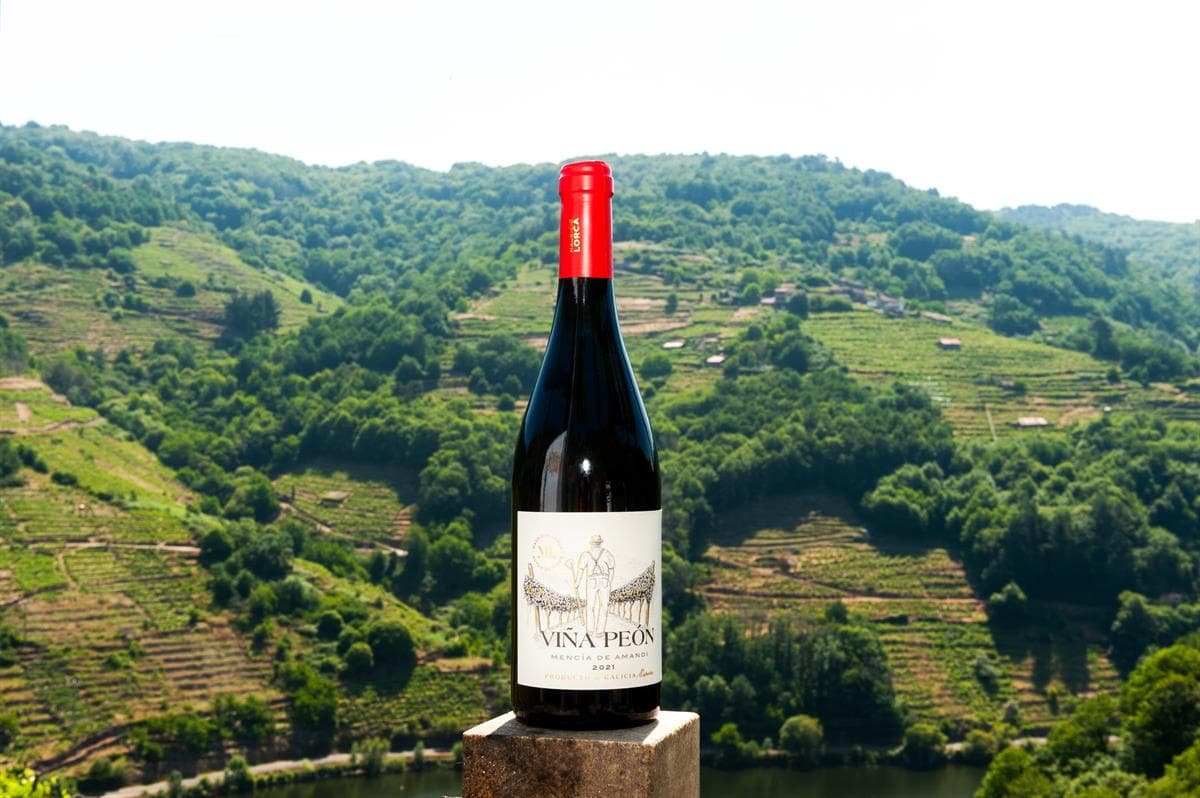 Bodega Mauricio Lorca - Galicia