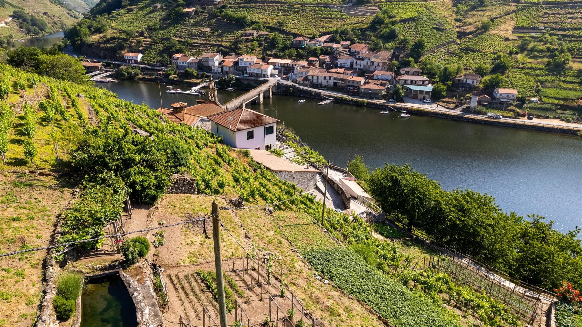 Bodega Mauricio Lorca - Galicia