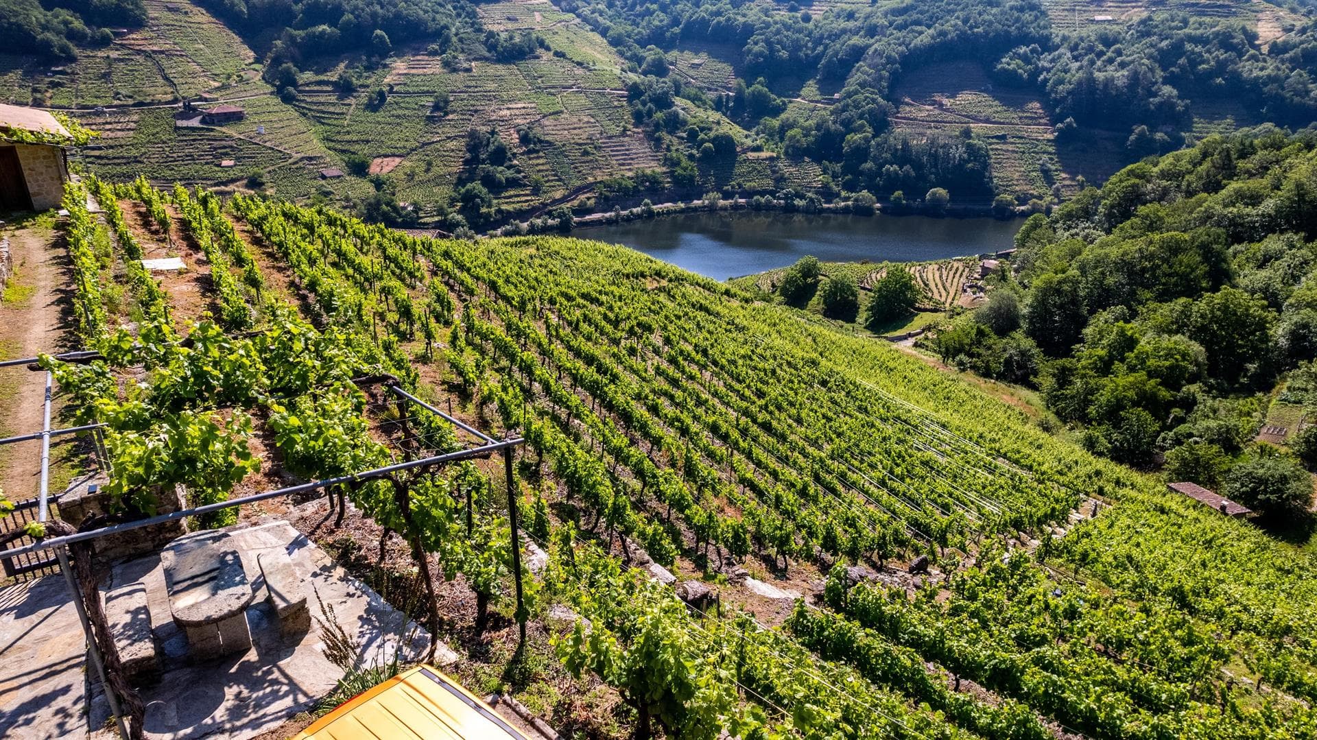 Bodega Mauricio Lorca - Galicia