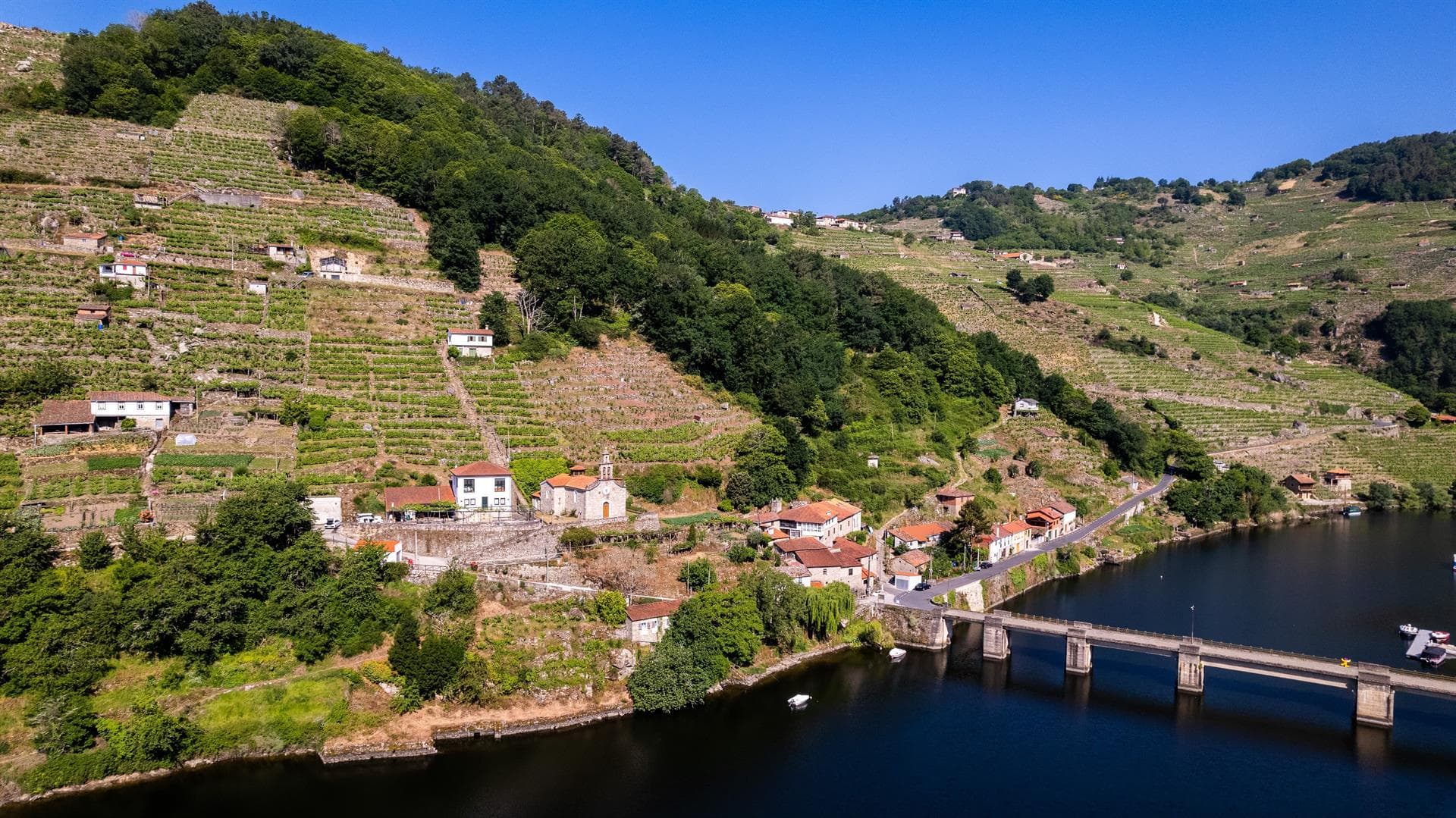 Bodega Mauricio Lorca - Galicia