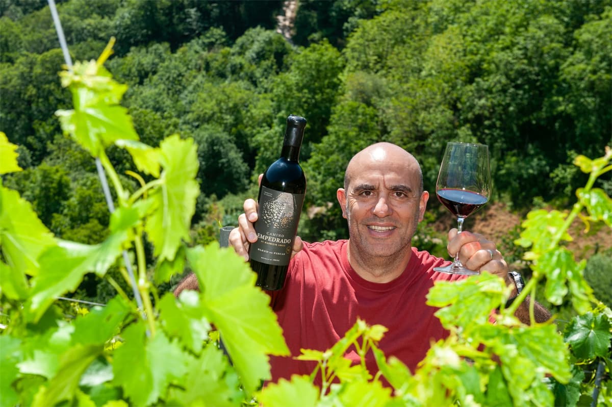 Bodega Mauricio Lorca