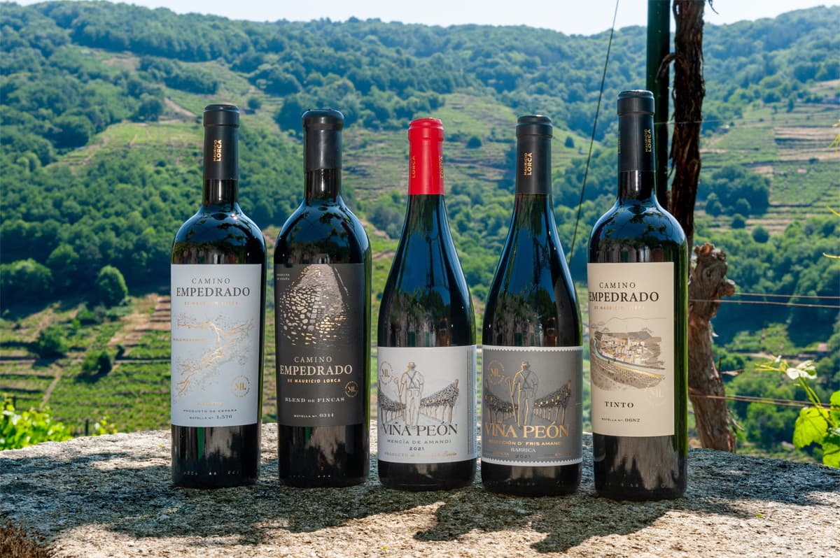 Bodega Mauricio Lorca