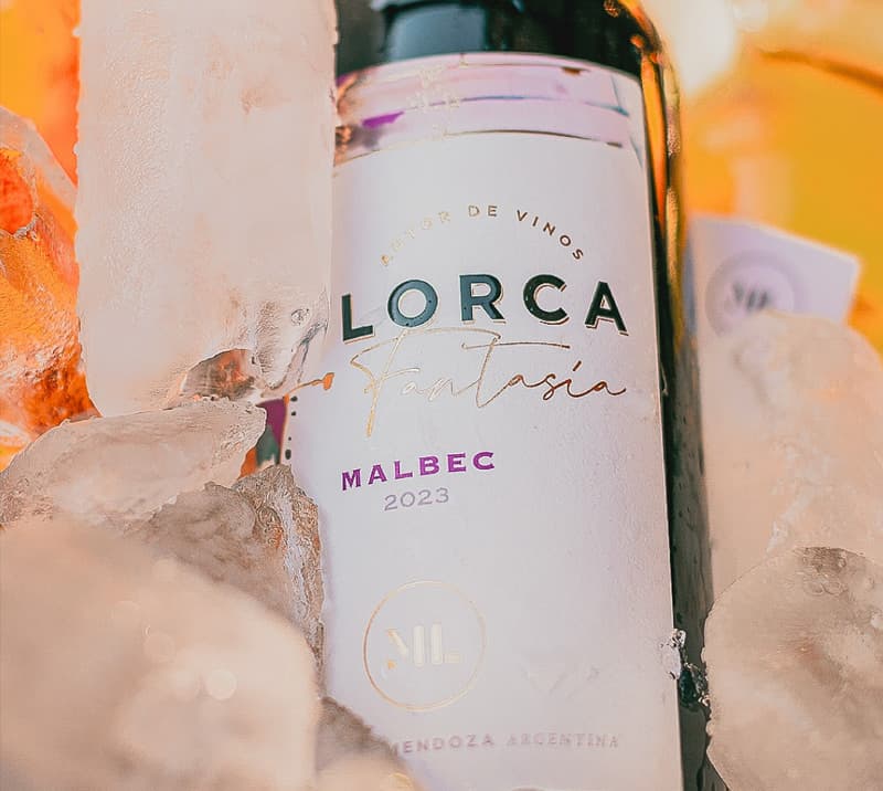 Vinos tintos Argentinos